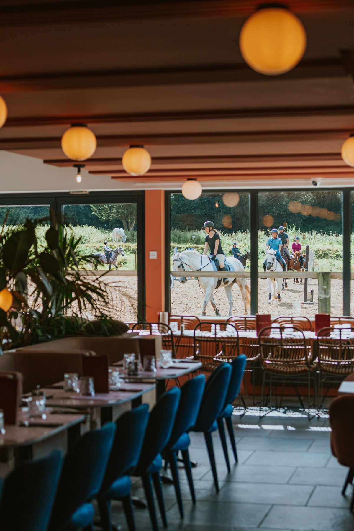 La salle de Mamma Mia face à la carrière